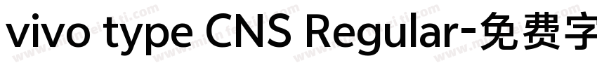 vivo type CNS Regular字体转换